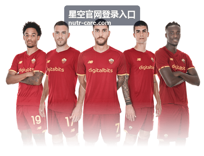 星空官网登录入口安全设置入口示意