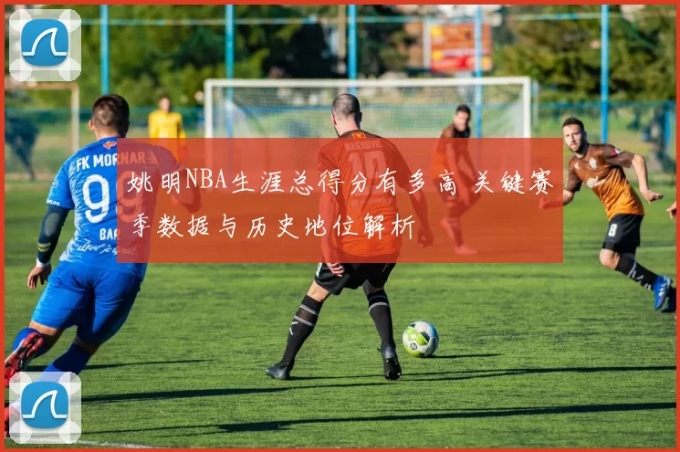 姚明NBA生涯总得分有多高 关键赛季数据与历史地位解析