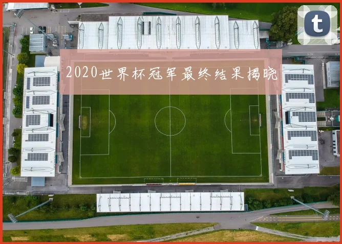 2020世界杯冠军最终结果揭晓