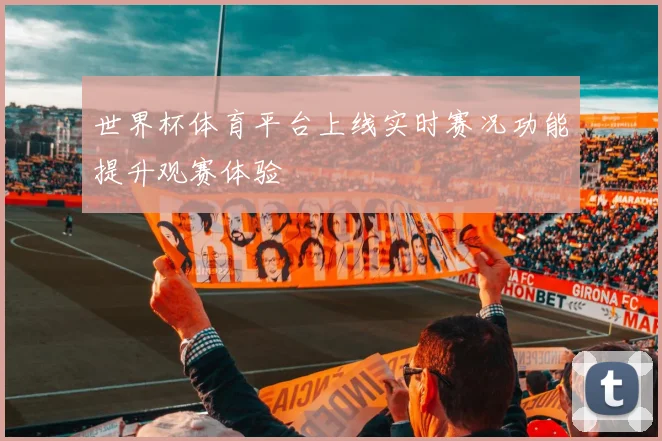 世界杯体育平台上线实时赛况功能提升观赛体验