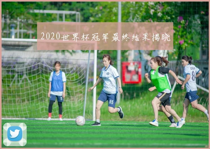 2020世界杯冠军最终结果揭晓